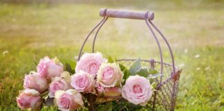 Jak zrobić kosz ze słodyczami?