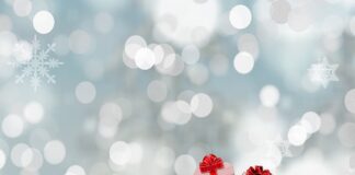 Do czego służy worki próżniowe?