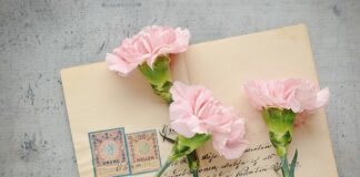 Jak wysłać prezent poczta?