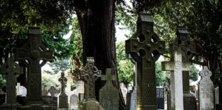 Co zamiast kostki do zmywarki?