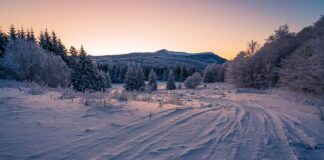 Czy opony można przechowywać w workach?