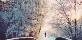 Co ile dni trzeba sprzątać klatkę królika?