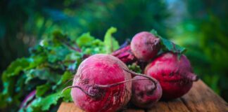 Na co pomagają buraki czerwone?