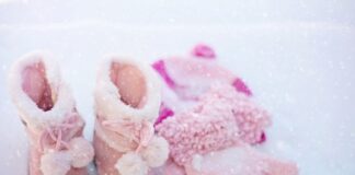 Czy w PEPCO są ubranka dla psów?