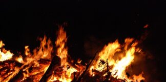 Czy yerba mate szkodzi na wątrobę?