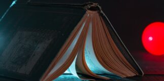 Jakie wkłady do filtra w akwarium roślinnym?