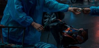 Co jest tańsze kurier czy Poczta?