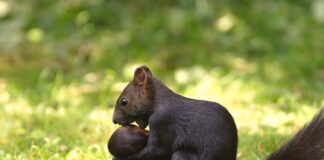 O czym nie zapomnieć przy przeprowadzce?