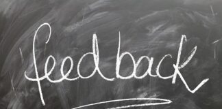 Jak rozmawiać z papuga?